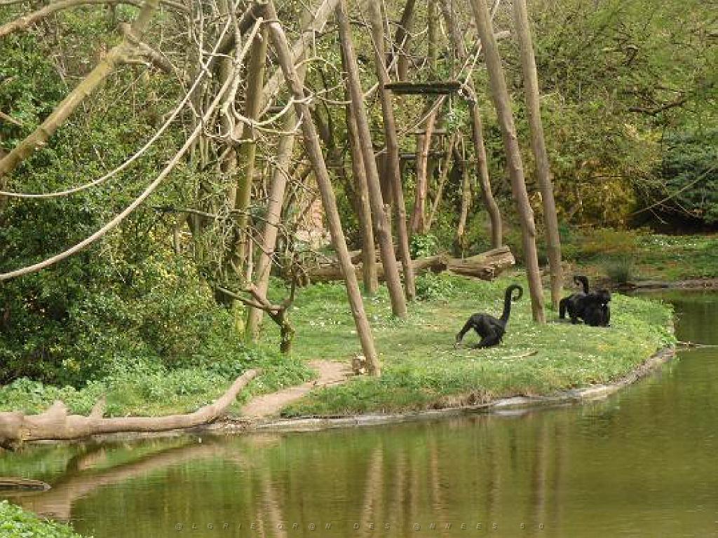 149 BIO PARC DE DOUE LA FONTAINE 7- 2016_000054.jpg